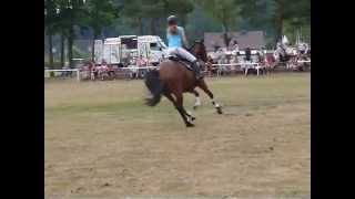 Video koně Lilli Marlen