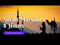Surah Maryam for 8 Hours | Calming Recitation By Omar Hisham