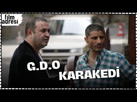 G.D.O. Karakedi | Şafak Sezer Komedi Filmi