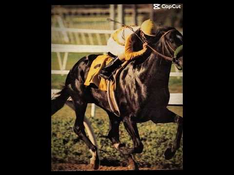 Sunday Silence - Different Today