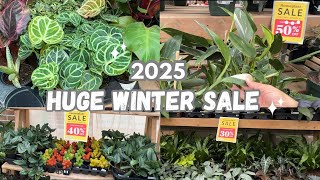 UP TO 70% OFF || First Plant Shopping of 2025