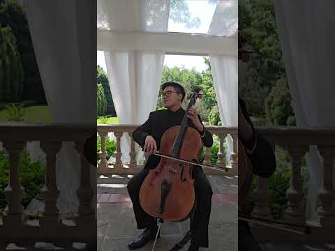 Promotional video thumbnail 1 for Austin Chao - Professional Cellist