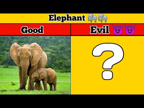 Good Elephant VS Evil Elephant 🐘 #animal #elephant