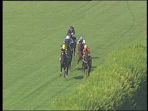 Galoppo 06/07/2016 - 1° corsa