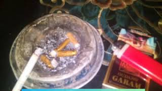 Download lagu Kata kata bajingan Kecewa mp3 Download lagu Kata kata bajingan Kecewa mp3