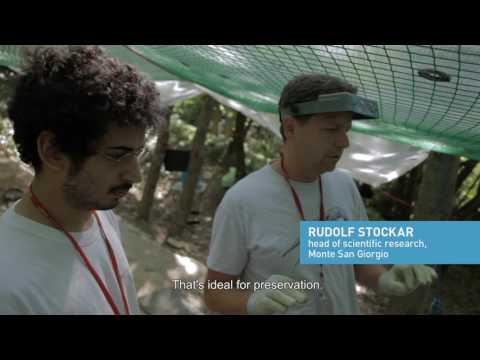 World Heritage in Switzerland: Monte San Giorgio