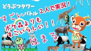 アプリランキング１位！動物タワーバトル！２人で実況！ポケ森よりすごいの？