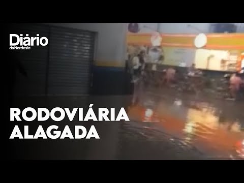 vídeo