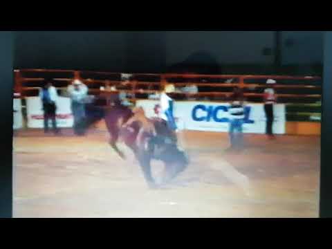 Rosangelo De Souza.  animal  (Serra negra). Cia Tiao Maia.