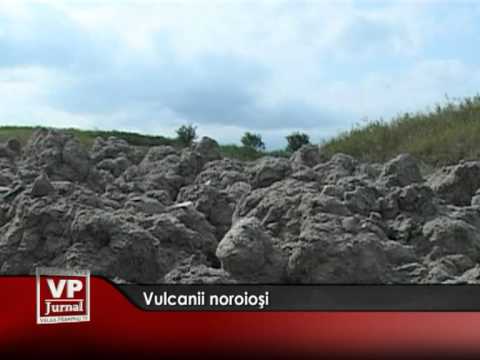 Sărbătoare la Gradina Zoologică