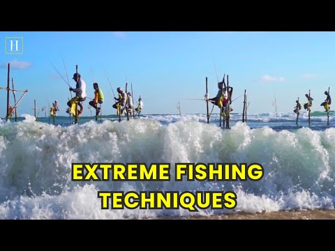 Unique Fishing Technique - Stilt Fishing Sri Lanka | Human Documentary