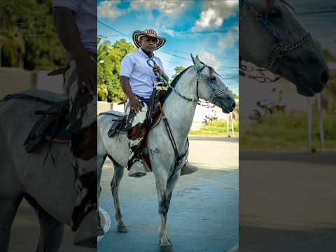 Primera Tarde De Toros En Maria La Baja BolívarRealizando Fotografía ✅️🎬  #toros #marialabaja #viral
