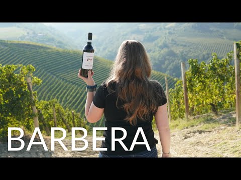 All About BARBERA