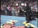 Sting Comes Back Home