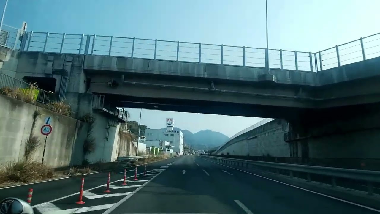 【静岡県】伊豆1周、桜を巡るドライブ 2026.3.29