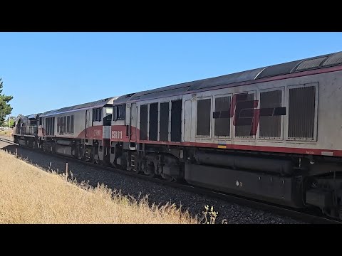 6AM9 SCT Freighter (SCT011, CSR001, CSR011), Penfield to Laverton, 1640, 1/11/24, Stawell VIC