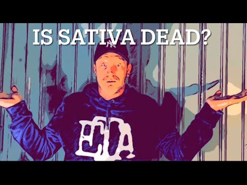SATIVA & INDICA… are they even a thing anymore?… 🤔