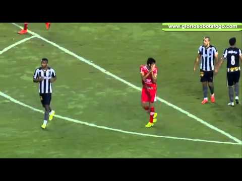 Melhores momentos Botafogo 3x0 Mogi Mirim Campeonato Brasileiro 05-06-2015 gloriosobotafogo.com