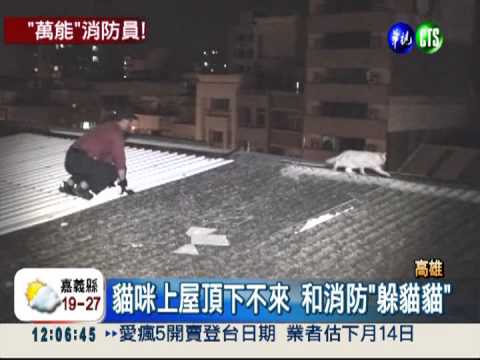 搶救貓咪 消防員差點摔下樓