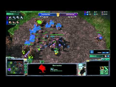 SC2 Replay 29 -- AcerNerchio [Z] v ESCGoOdy [T] on Dual Sight, Match 1 of 3