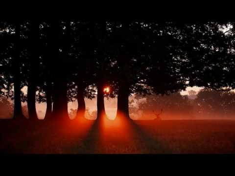 Klaus Schulze - Last Move At Osnabrück