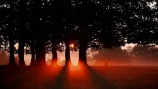 Klaus Schulze - Last Move At Osnabrück