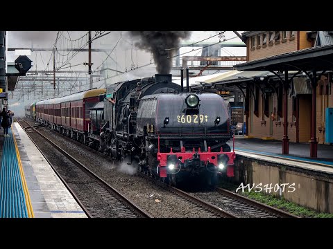 6029 Garratt Steam Locomotive leads HUGE consist with 4501, 4201 & 4916 Enroute to Bathurst NSW