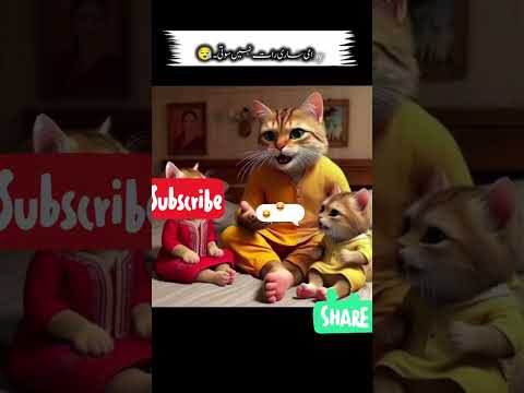 Kash Mai chuwa he honda| funny cats #dontlaught #catvideos #funnycats