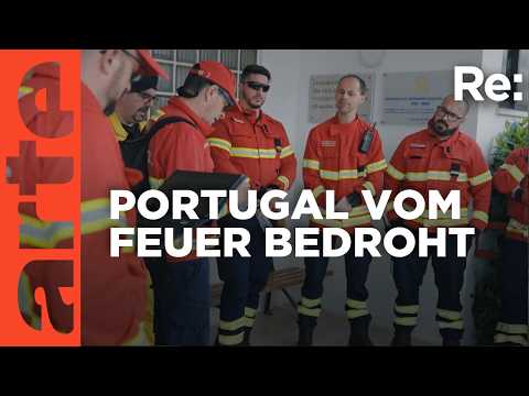 Video Thumbnail: Portugals Kampf gegen Megafeuer | ARTE Re: