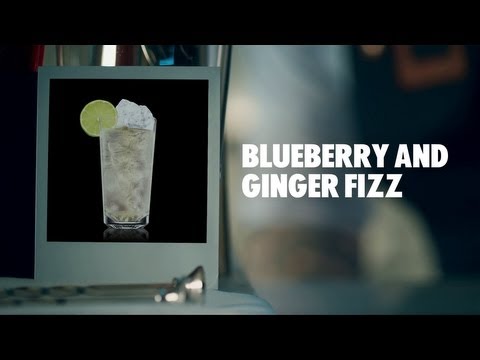 BLUEBERRY AND GINGER FIZZ DRINK RECIPE - HOW TO MIX