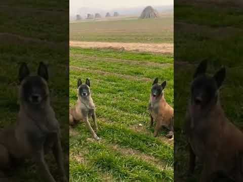 Ganpat Kumar Veerana