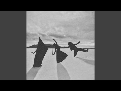 Les Oiseaux Migrateurs - Philippe Brach