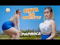 Dj Cinta Tak Direstui Paprica Official Music Video