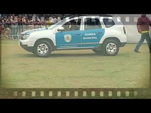 Cães da guarda municipal de Itatiba