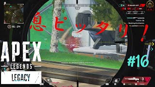 ［APEX LEGENDS］俺、こいつと結婚するわ。 初心者PCペクリップ #16
