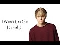 Daniel J - I Won't Let You Down ( Snippet ) 
