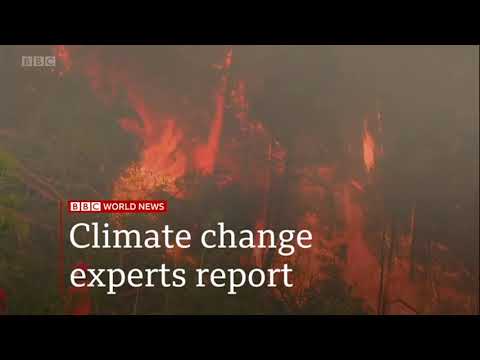 2021 August 09 BBC One minute World News