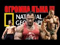ДОРИ И ПО ТЕЛЕВИЗИЯТА ЛЪЖАТ !!!