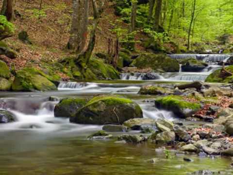 The voices of Rhodopes - Sestri Kushlevi - Rodopska kitka