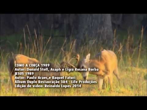 Como a Corça - Asaph Borba