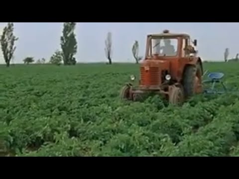 Mit Jan und Tini auf Reisen- Kartoffeln/ wie Kartoffeln entstehen