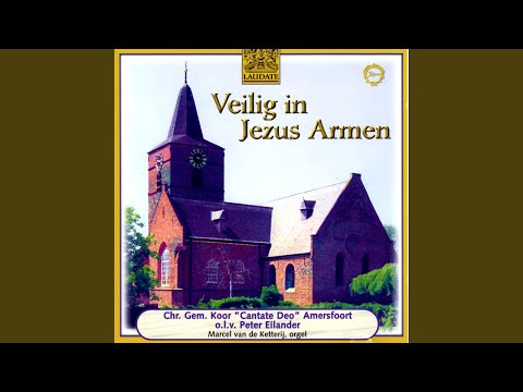 Psalm 116, Vers 1, 2, 3 en 11