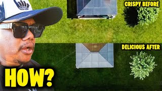 Backyard SUMMER Revival 18 Day results! Before and After!