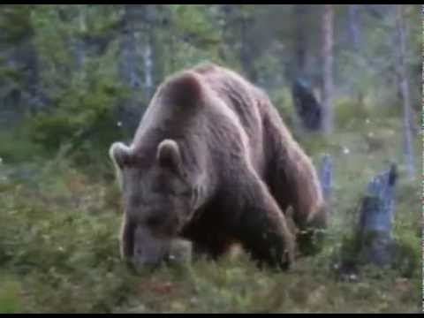 Merit Hemmingson - Allt Under Himmelens Fäste -extended version 3:58  ( All Under Heaven )