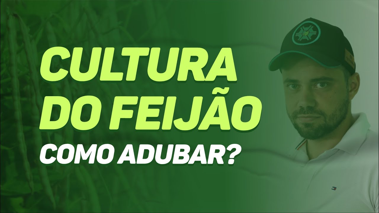 #09 - Cultura do feijão - como adubar?