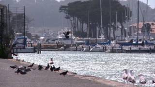 Star Inside Of Me feat. Suzzy Q