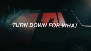 Turn down for what __sub español