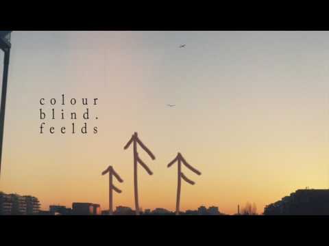 Feelds - Colourblind (Audio)