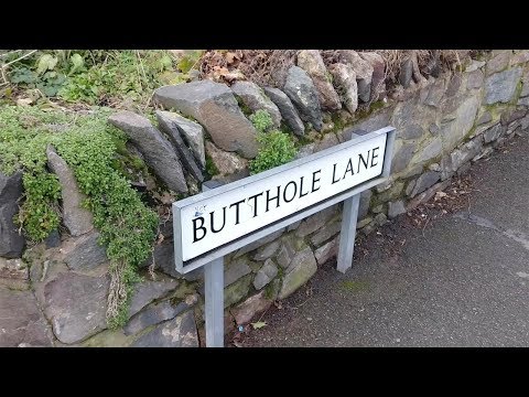 download lagu mp3 mp4 Butthole Lane, download lagu Butthole Lane gratis, unduh video klip Butthole Lane