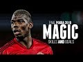 Paul Pogba 2019 ● Magic Skills & Goals l HD